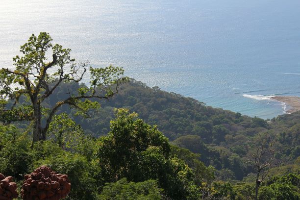 stunning lush green hills in Costa Rica steeping down into the blue sea